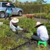 守護綠手：捐款500元